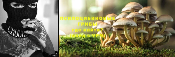 стаф Алзамай