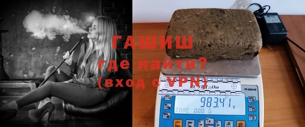 стаф Алзамай
