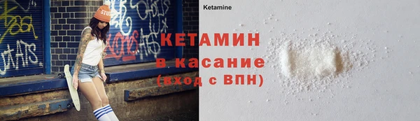 стаф Алзамай