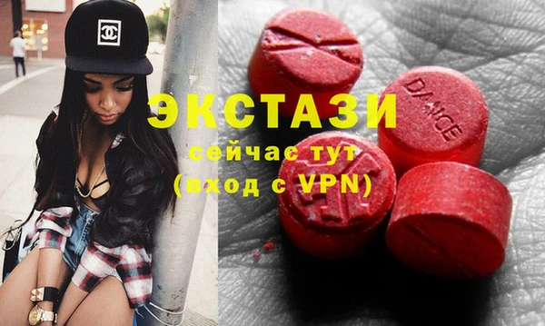 стаф Алзамай