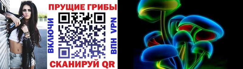 Псилоцибиновые грибы мицелий  Анжеро-Судженск 